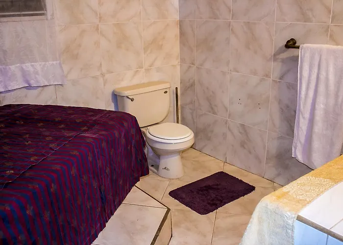 Bed & Breakfast Stargazer @ Mammee Bay Estate
