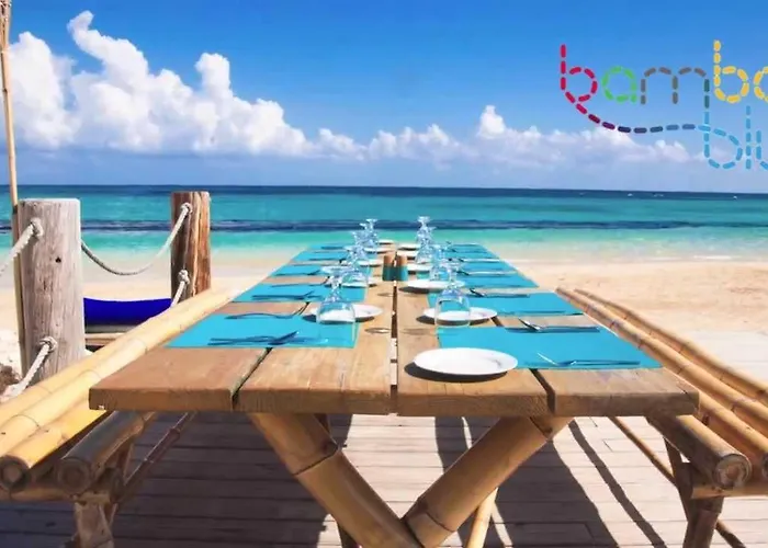Stargazer @ Mammee Bay Estate Bed & Breakfast Ocho Rios